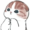 Kittens : : 🍢 28