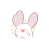 Chinchilla as cute as a puppy 28