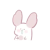 Chinchilla as cute as a puppy 29