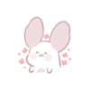 Chinchilla as cute as a puppy 30