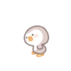 Precious little penguin 'BEBE.P' 27
