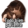 Todo bien pariente