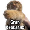 Gran descarao