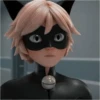 Miraculous🐞 30