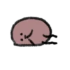 Little cute brown beans 24
