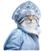 Winter Manul 2