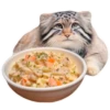 Winter Manul 4