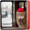Winter Manul 5