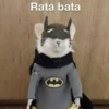 Ratitas🐁🐭🩶 7