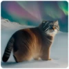Winter Manul 9