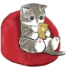 💗🐈 @meowk1ss :: 5