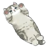 💗🐈 @meowk1ss :: 6