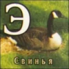 Э Свинья
