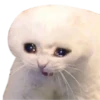 Michis cursed 10