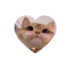 💗kitties love 💗 @iamideas @iamstockroom 6