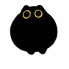 Owl Black Cat 5