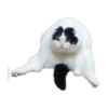 LYIHQVu_by_achestickbot 6