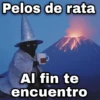 🐈‍⬛La maldición se ha roto✨ 11