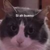 Si ah bueno