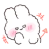 Perm Rabbit PongPong 5