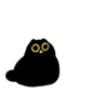 Owl Black Cat 9