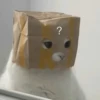?