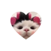 💗kitties love 💗 @iamideas @iamstockroom 8