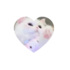 💗kitties love 💗 @iamideas @iamstockroom 9