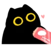Owl Black Cat 11