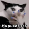 ✨Gatitos con frases😺✨6 5