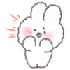 Perm Rabbit PongPong 7