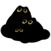 Owl Black Cat 12