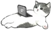 Kittens mofu_sand 2 12