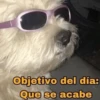 Objetivo del día: Que se acabe