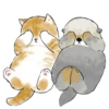 💗🐈 @meowk1ss :: 8
