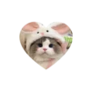 💗kitties love 💗 @iamideas @iamstockroom 12