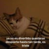 ya no es divertido quedarse despierto hasta tan tarde, es triste