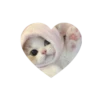 💗kitties love 💗 @iamideas @iamstockroom 13