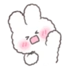 Perm Rabbit PongPong 9
