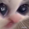 Иоаким