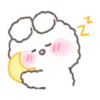 Perm Rabbit PongPong 11