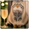 Winter Manul 15