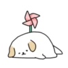 BOBA DOG 9