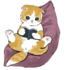 💗🐈 @meowk1ss :: 10