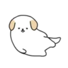 BOBA DOG 11