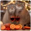 Winter Manul 16