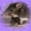 Ratitas🐁🐭🩶 13