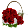 : Flowers 12