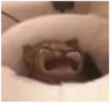 Michis cursed 19