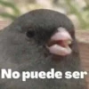 No puede ser